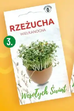 Polomarket Rzeżucha wielkanocna, Vilmorin Garden oferta