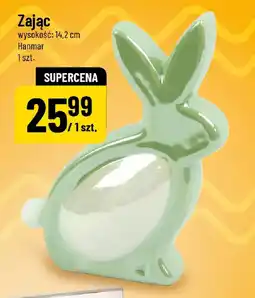 Polomarket Zając Hanmar oferta