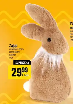 Polomarket Zając Hanmar oferta