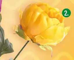 Polomarket Kwiat piwonii Projektdecor oferta