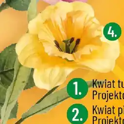 Polomarket Żonkil pojedynczy Projektdecor oferta