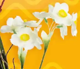 Polomarket Gałązka żonkila Projektdecor oferta