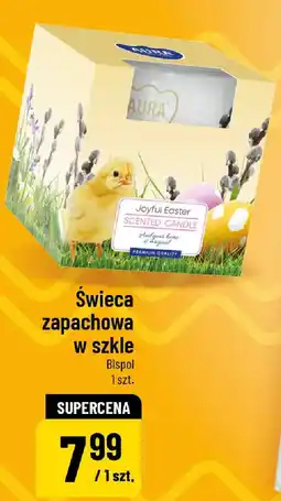 Polomarket Świeca zapachowa w szkle Bispol oferta