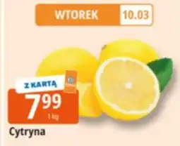 E.Leclerc Cytryna oferta