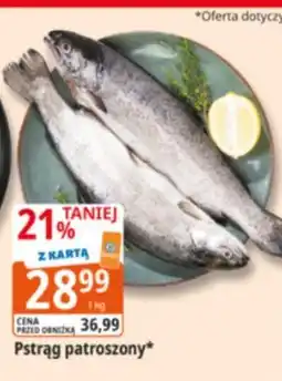 E.Leclerc Pstrąg patroszony oferta