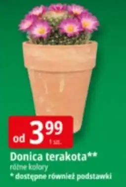 E.Leclerc Donica terakota oferta