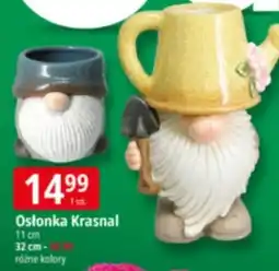E.Leclerc Osłonka Krasnal 11 cm oferta