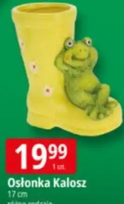 E.Leclerc Osłonka Kalosz 17 cm oferta