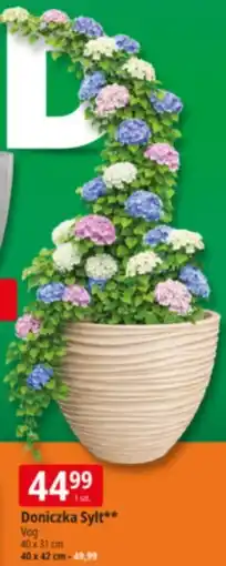 E.Leclerc Doniczka Sylt Vog 40 x 31 cm oferta