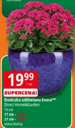E.Leclerc Doniczka szkliwiona Evora Direct Home&Garden 14 cm oferta