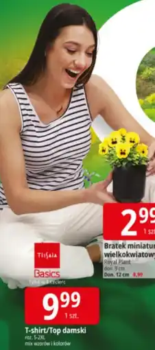 E.Leclerc T-shirt/Top damski oferta