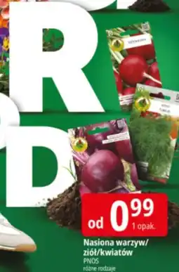 E.Leclerc Nasiona warzyw/ziół/kwiatów oferta