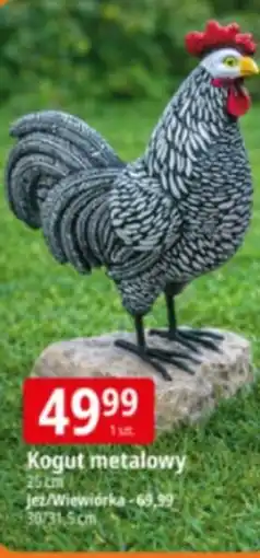 E.Leclerc Kogut metalowy oferta