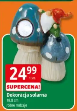 E.Leclerc Dekoracja solarna oferta