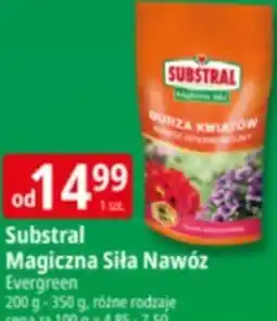 E.Leclerc Substral Magiczna Siła Nawóz oferta