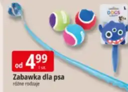 E.Leclerc Zabawka dla psa różne rodzaje oferta