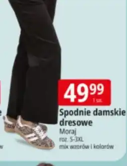 E.Leclerc Spodnie damskie dresowe Moraj oferta