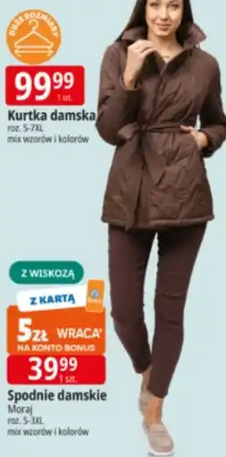 E.Leclerc Kurtka damska oferta