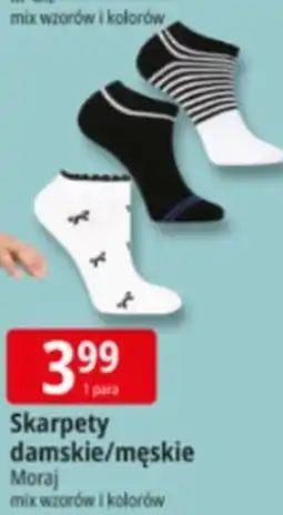 E.Leclerc Skarpety damskie/męskie oferta