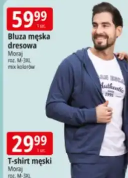E.Leclerc Bluza męska dresowa Moraj oferta