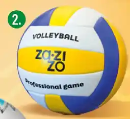 Polomarket Piłka do siatkówki ZaZiZo oferta