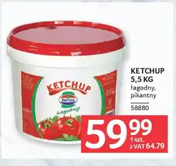 Selgros Ketchup oferta