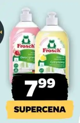 Netto FROSCH oferta