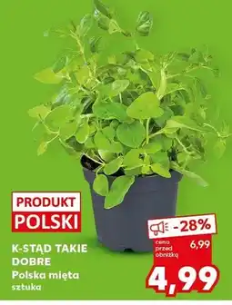 Kaufland Mięta polska oferta