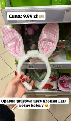Dino Opaska plusowa uszy królika LED różne kolory oferta