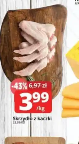 Szyneczka Skrzydło z kaczki oferta