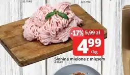 Szyneczka Słonina mielona z mięsem oferta