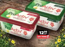 Netto Flora ProActiv oferta