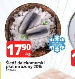 Szyneczka Sledź dalekomorski płat oferta