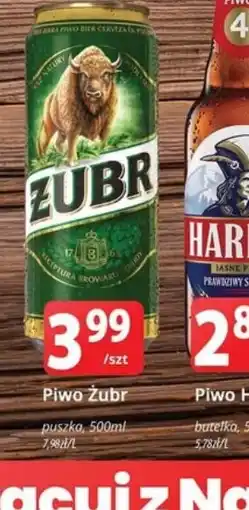 Szyneczka Piwo Zubr oferta