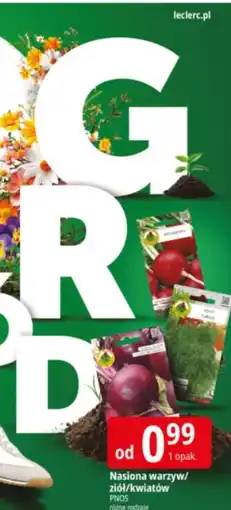 E.Leclerc Cebula gr. 3 Pnos oferta