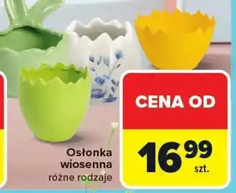 Osłonka wiosenna różne rodzaje