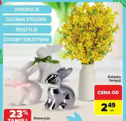 Carrefour Gałązka forsycji oferta