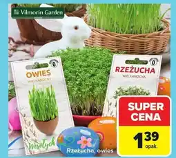 Carrefour Rzeżucha, owies oferta