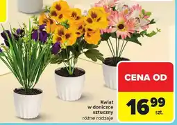 Carrefour Kwiat w doniczce sztuczny różne rodzaje oferta