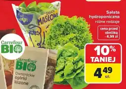 Carrefour Ogórki kiszone bio oferta