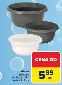 Carrefour Miska różne kolory oferta