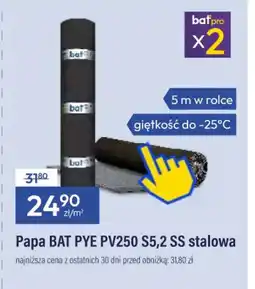Bat Papa BAT PYE PV250 S5,2 SS stalowa oferta
