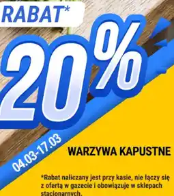 bi1 Warzywa kapustne oferta