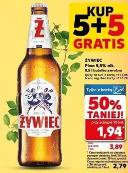Kaufland Żywiec Piwo 5,5% alk oferta