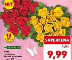 Kaufland Róże różne kolory 13 sztuk w bukiecie oferta