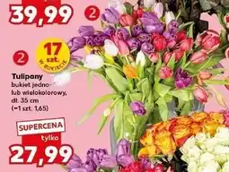 Kaufland Tulipany bukiet jedno- lub wielokolorowy 17 sztuk w bukiecie oferta