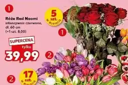 Kaufland Róże Red Naomi intensywnie czerwone 5 sztuk w bukiecie oferta