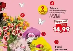 Kaufland Tulipany bukiet dwukolorowy lub wielokolorowy 9 sztuk w bukiecie oferta