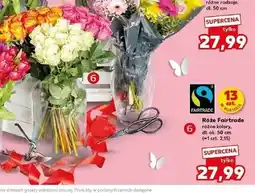Kaufland Róże Fairtrade różne kolory 13 sztuk w bukiecie oferta