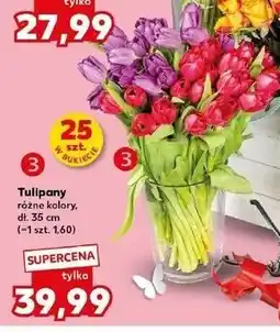 Kaufland Tulipany różne kolory 25 sztuk w bukiecie oferta